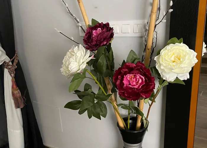 Hostal Corazón de Madrid